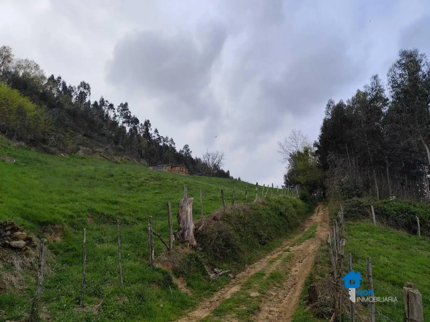 Casa o xalet en venda en Rasines