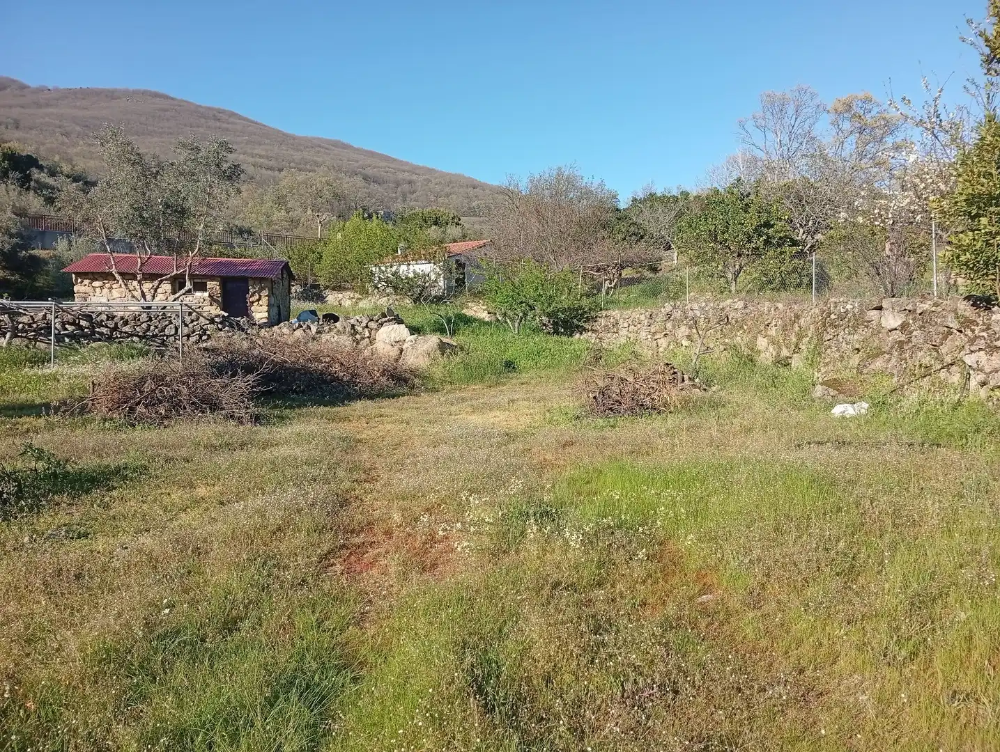 Terreno en venta en Valverde de la Vera