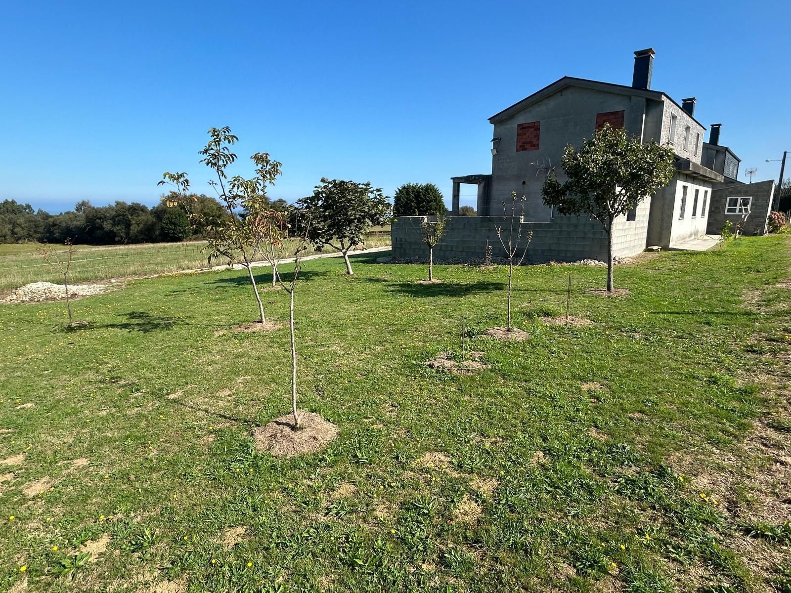 Casa o xalet en venda en Barreiros amb Terrassa i Traster