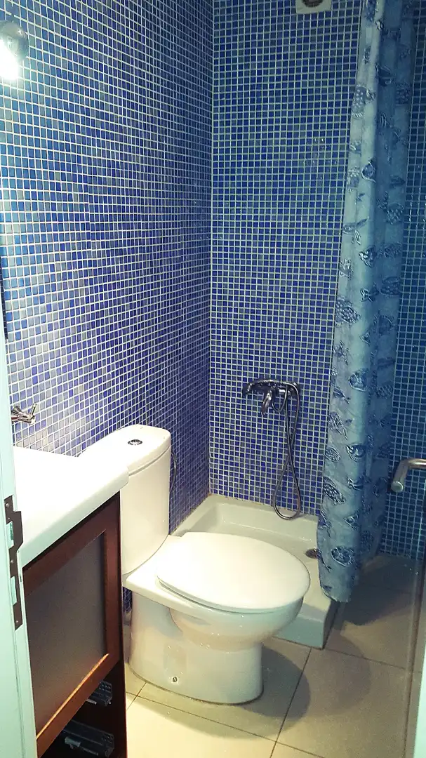 Bathroom of Flat for rent in Las Palmas de Gran Canaria