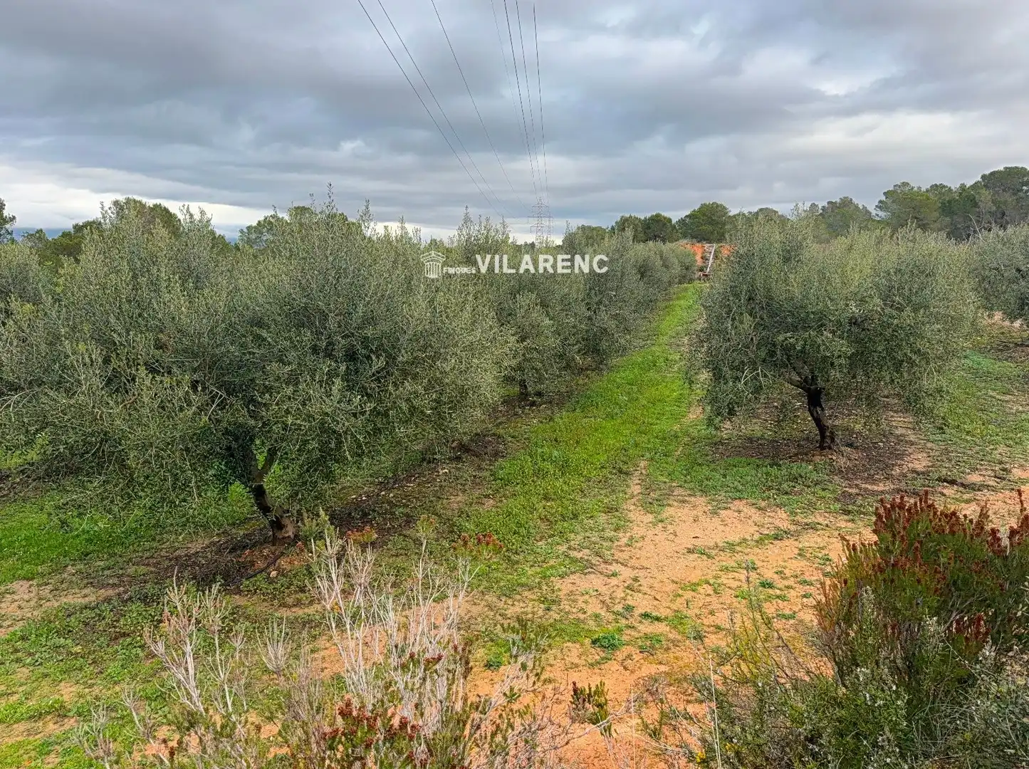 Terrain rustique à vendre à Vallmoll, imagen 15