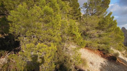 Foto 5 de Residencial en venda a Gran Bretaña, Altea Hills, Altea