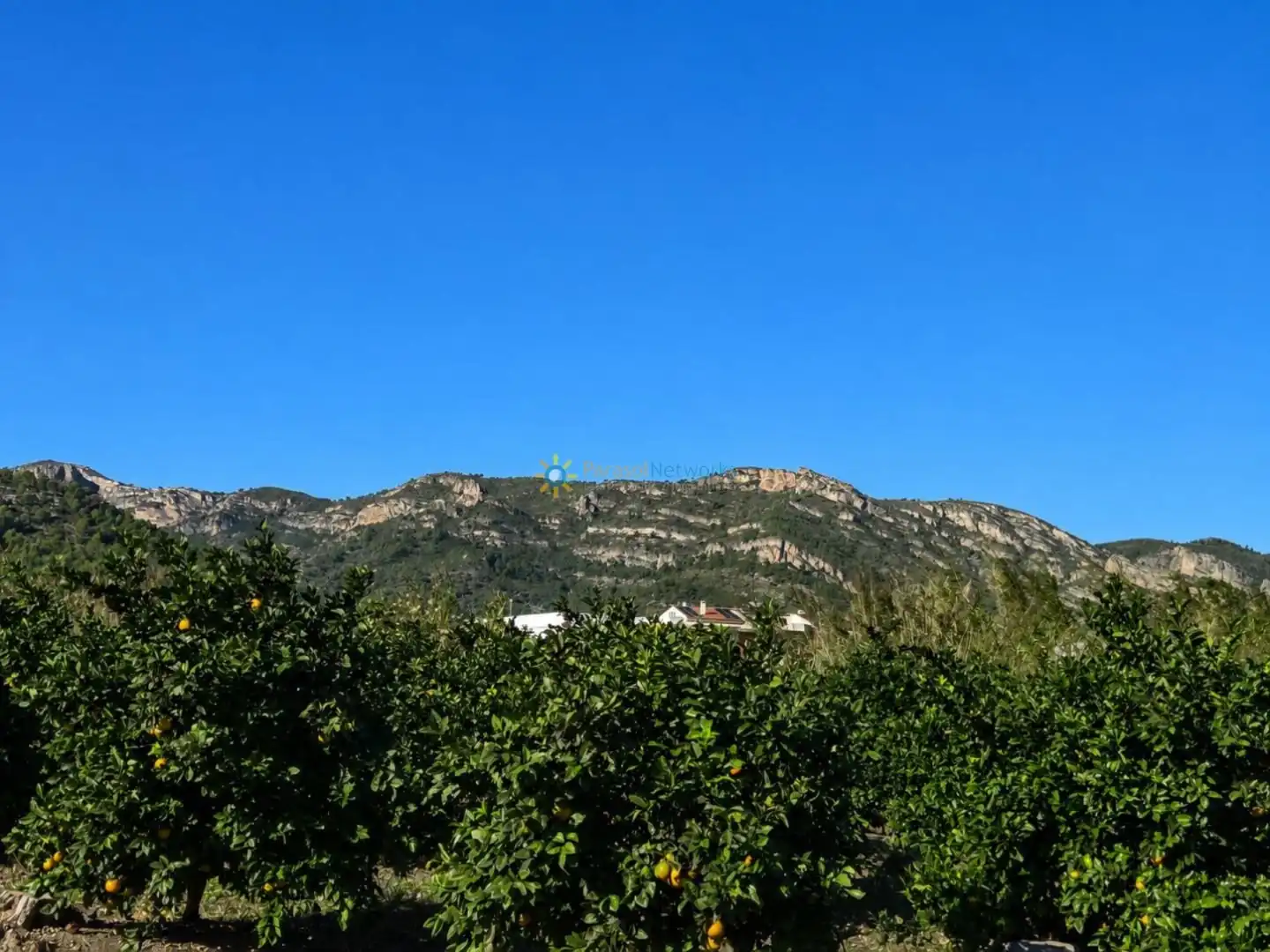 Finca rústica en venta en Xeraco con Jardín privado, Terraza y Trastero
