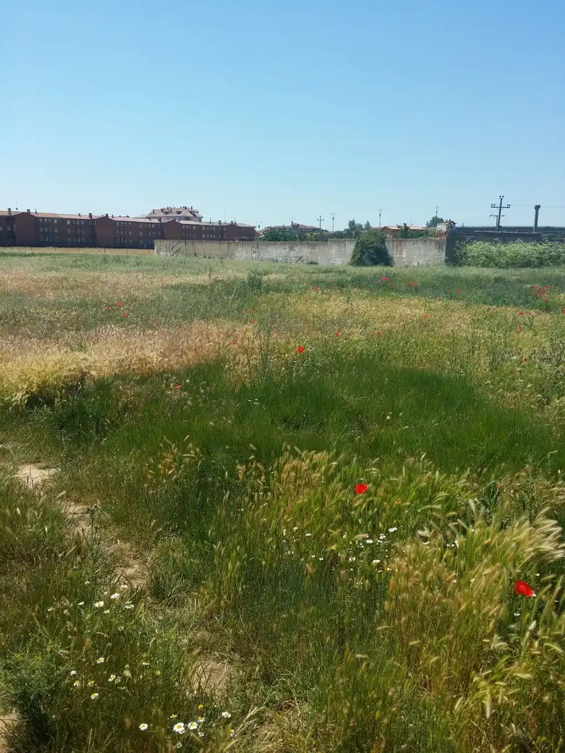 Terreni e lotti in vendita a C/ Gorrión, imagen 10