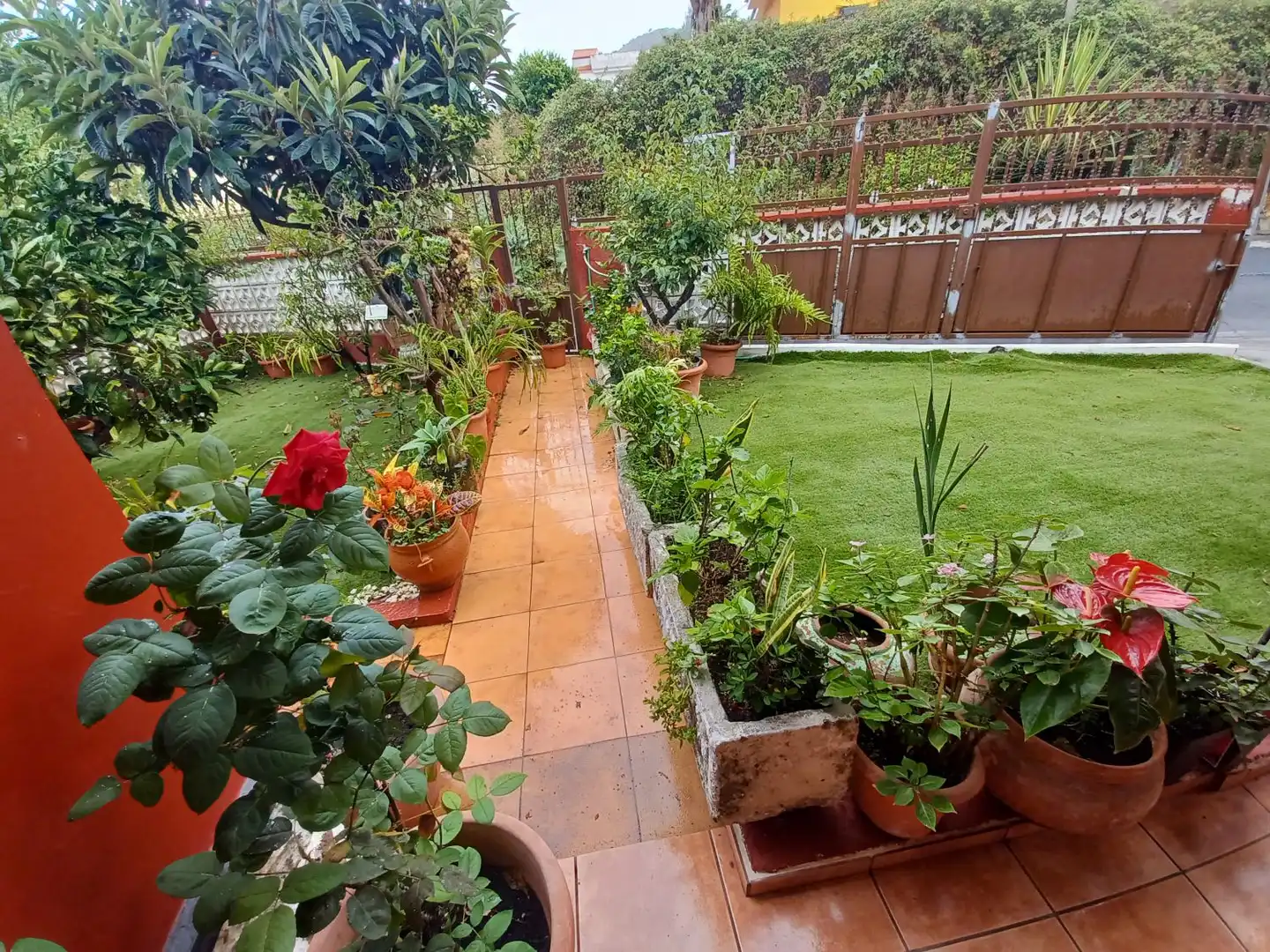 Jardí de Casa o xalet de lloguer en Vega Lagunera