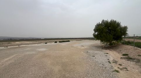 Foto 5 de Residencial en venta en San Felipe Neri, Crevillent, Alicante