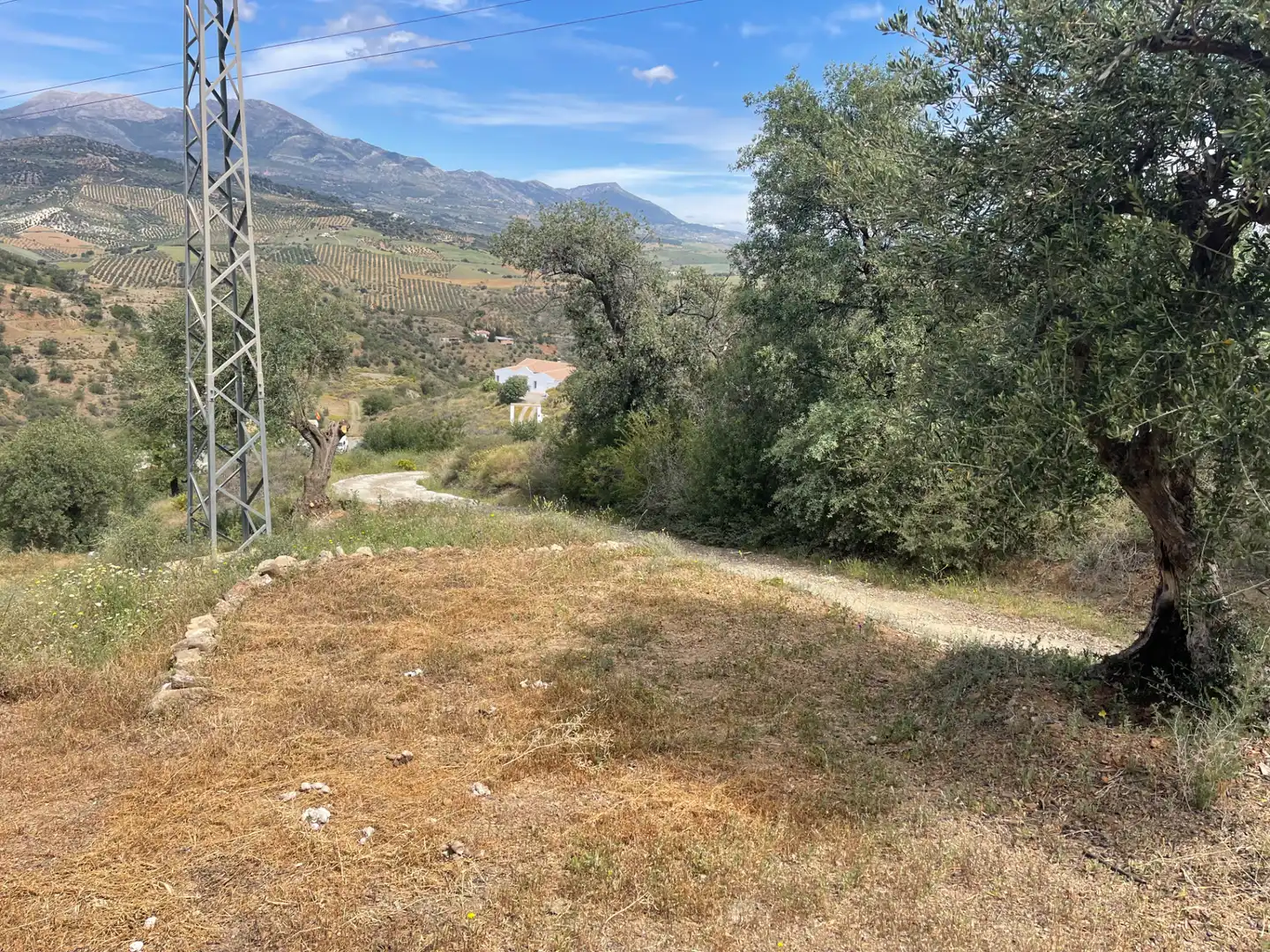 Terreno en venta en Guaro