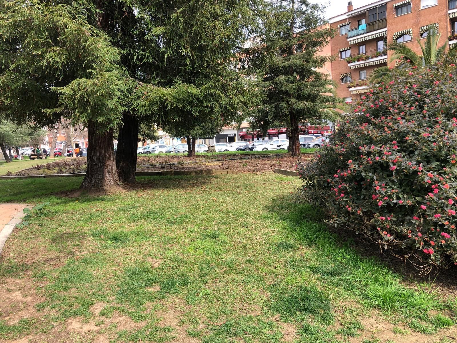 Pis en venda en Badajoz Capital amb Terrassa, Traster i Forn