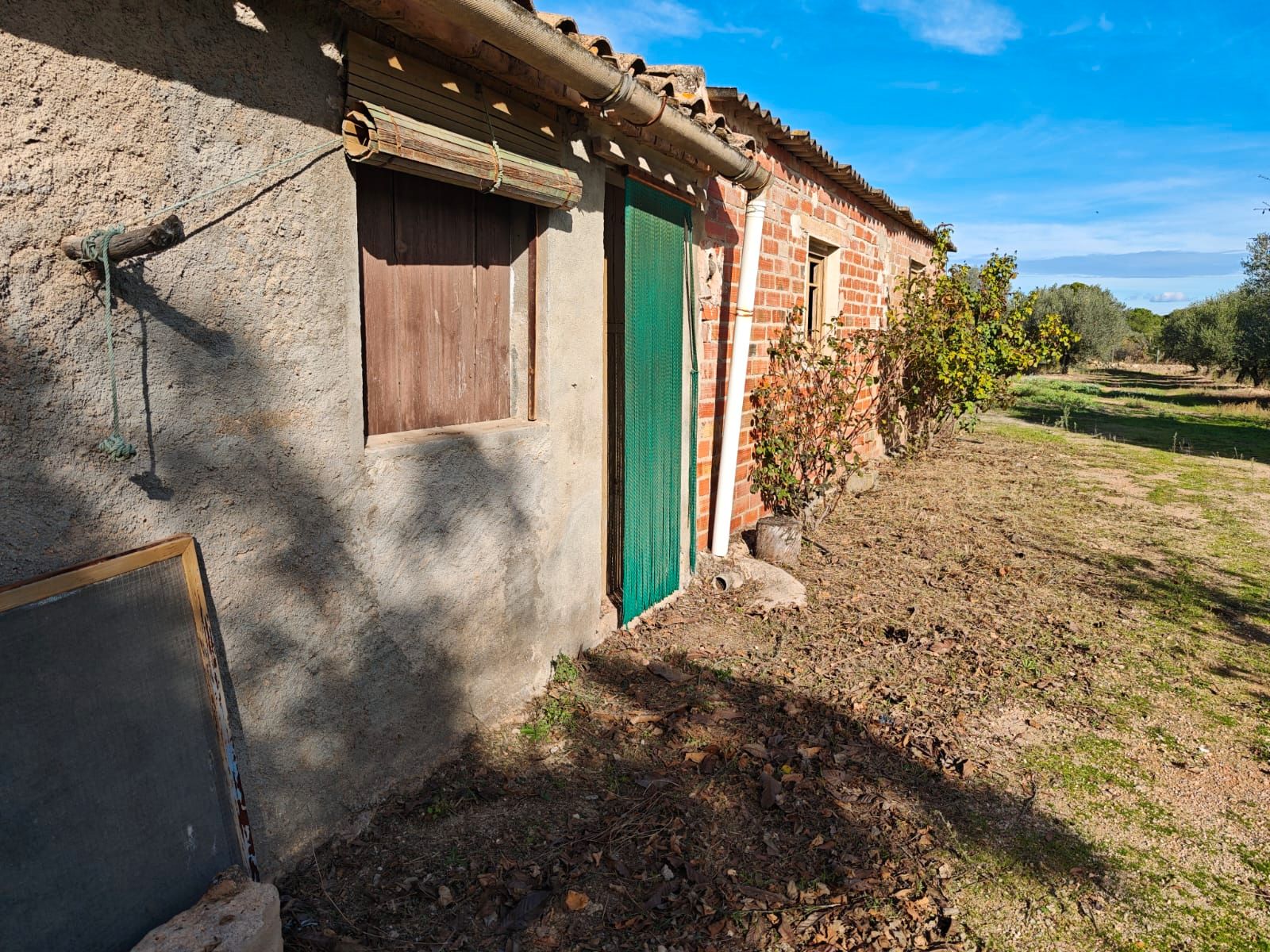 Exterior view of Land for sale in Móra d'Ebre