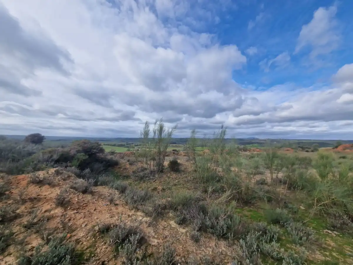 Terrains et parcelles à vendre à Montehermoso, imagen 6