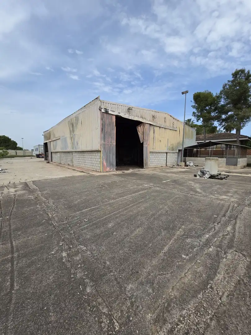 Lands and plots for sale in Sueca ciudad, imagen 9