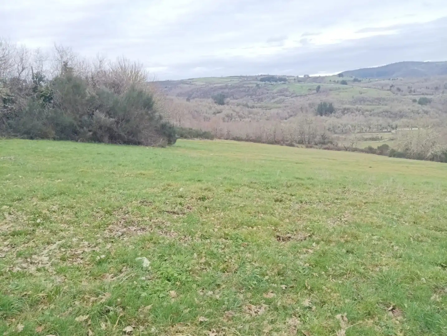 Finca rústica en venta en Becerreá