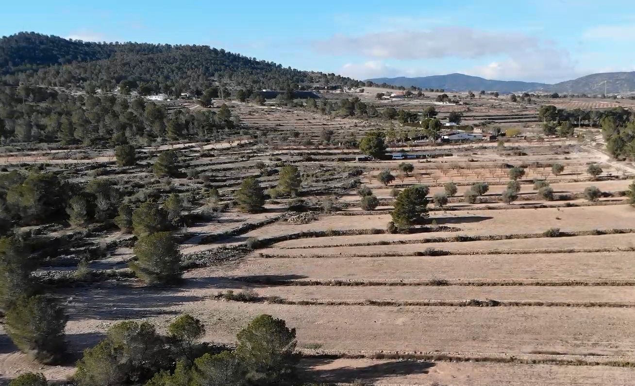 Grundstücke zum verkauf in Monóvar  / Monòver