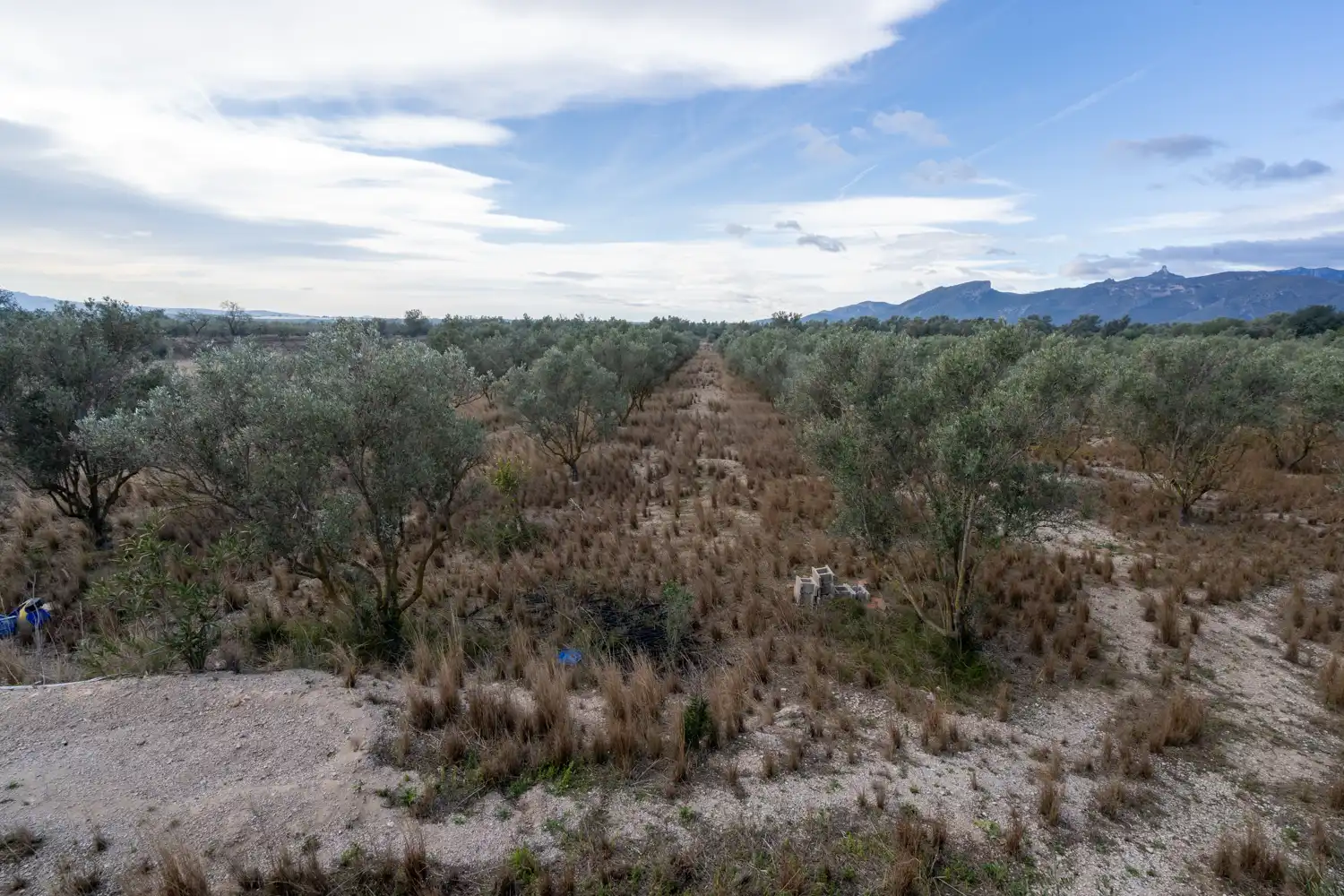 Terreno rustico in vendita a Roquetes, imagen 23
