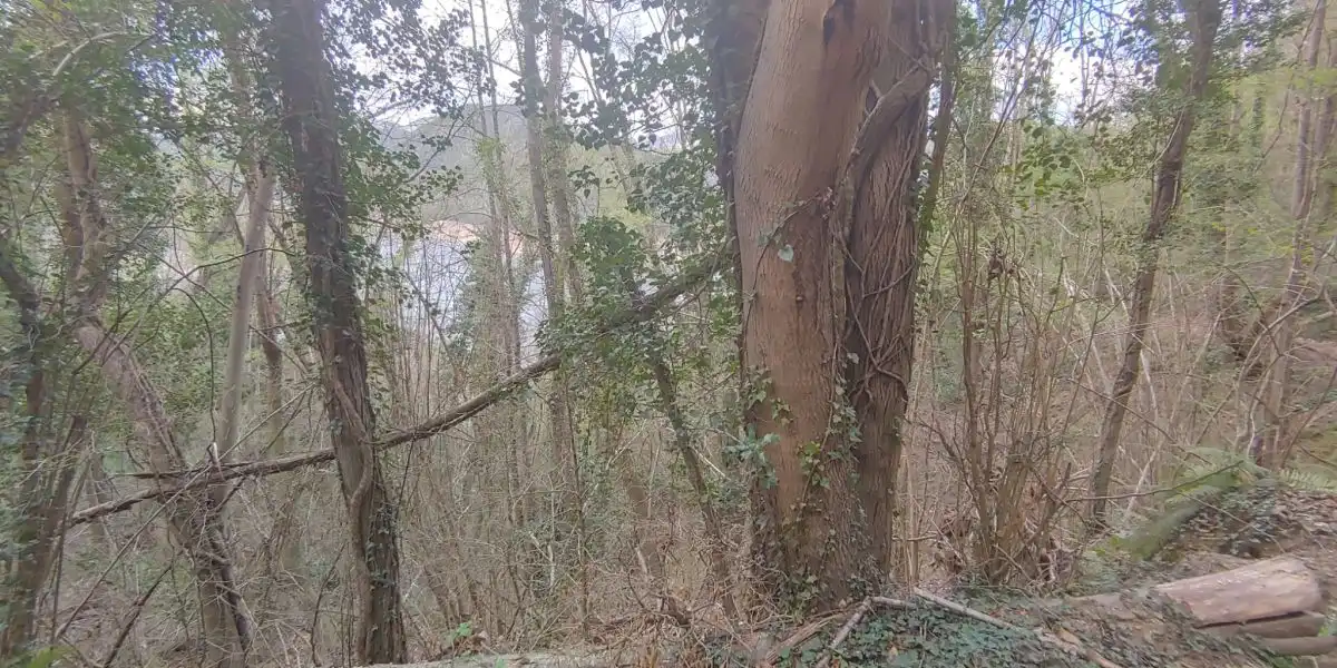 Residencial en venda en Susqueda