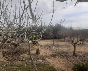 Finca rústica en venda en San Javier