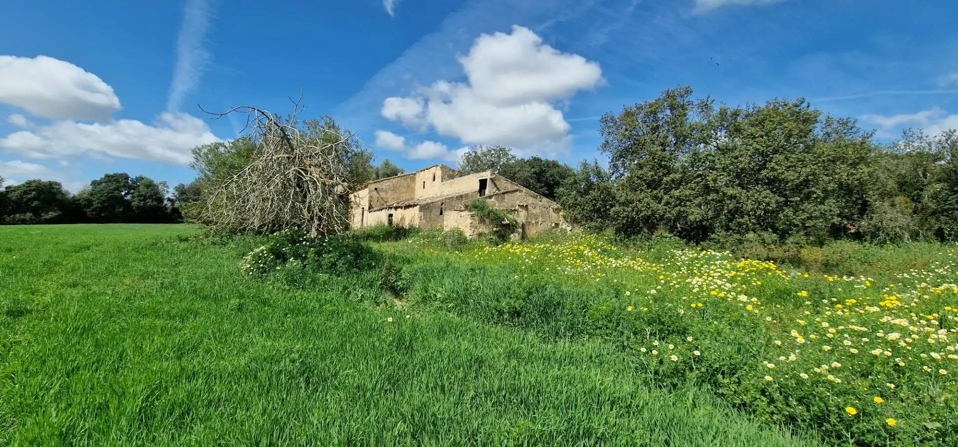 Country homes for sale in Manacor