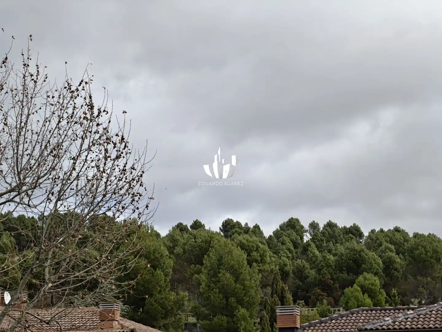 Casa o chalet en venta en Calle del Rododendro, Urbanizaciones