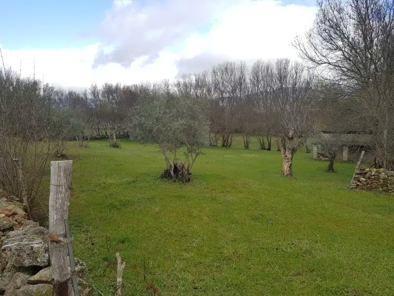 Terreni e lotti in vendita a Tejeda de Tiétar, imagen 3