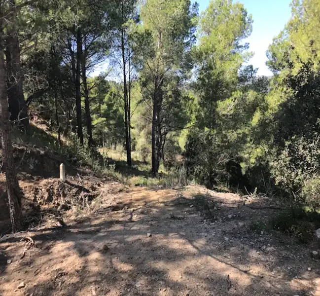 Terreno residenziale in vendita a Ferreteries, imagen 4