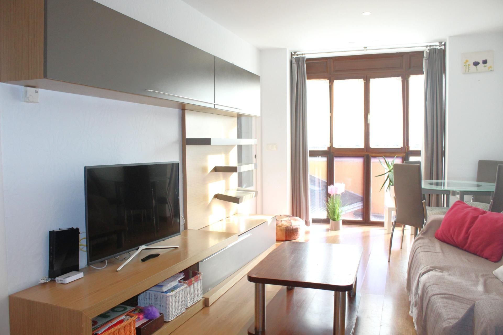 Living room of Flat for sale in Tolosa  with Parquet flooring, Furnished and Balcony