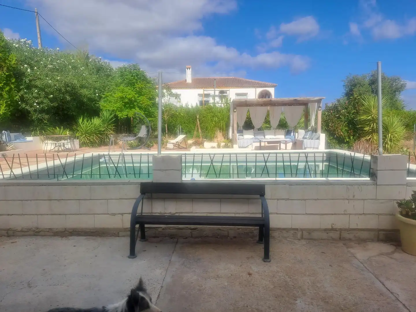 Piscina de Casa o xalet en venda en Cantillana amb Aire condicionat, Calefacció i Jardí privat