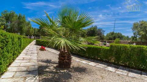 Foto 3 de Casa o xalet en venda a Sant Lluís - S'Ullestrar - Torret, Sant Lluís