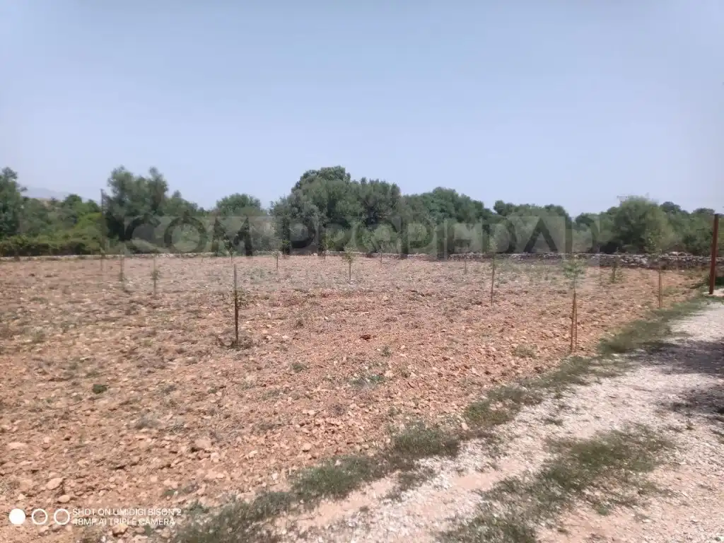 Houses for sale in Costitx