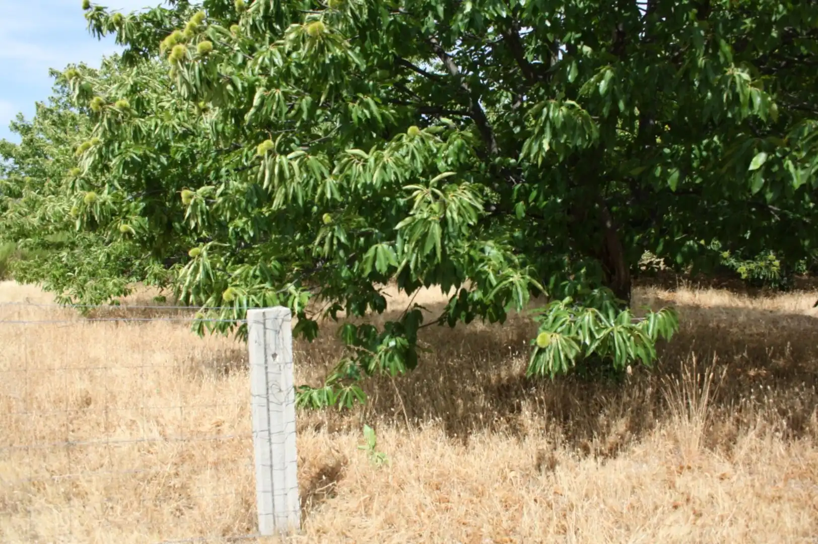 Terreno industrial en venta en Piornal