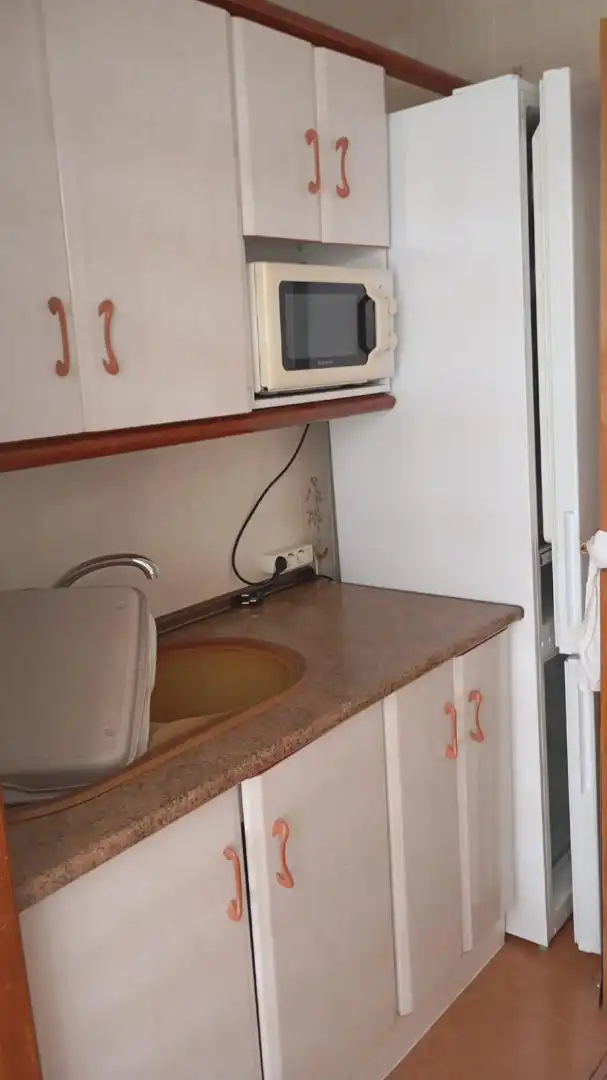 Kitchen of Apartments for sale in Playa Poniente