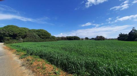 Photo 4 of Land for sale in Ruperto, 1, Roche, Cádiz