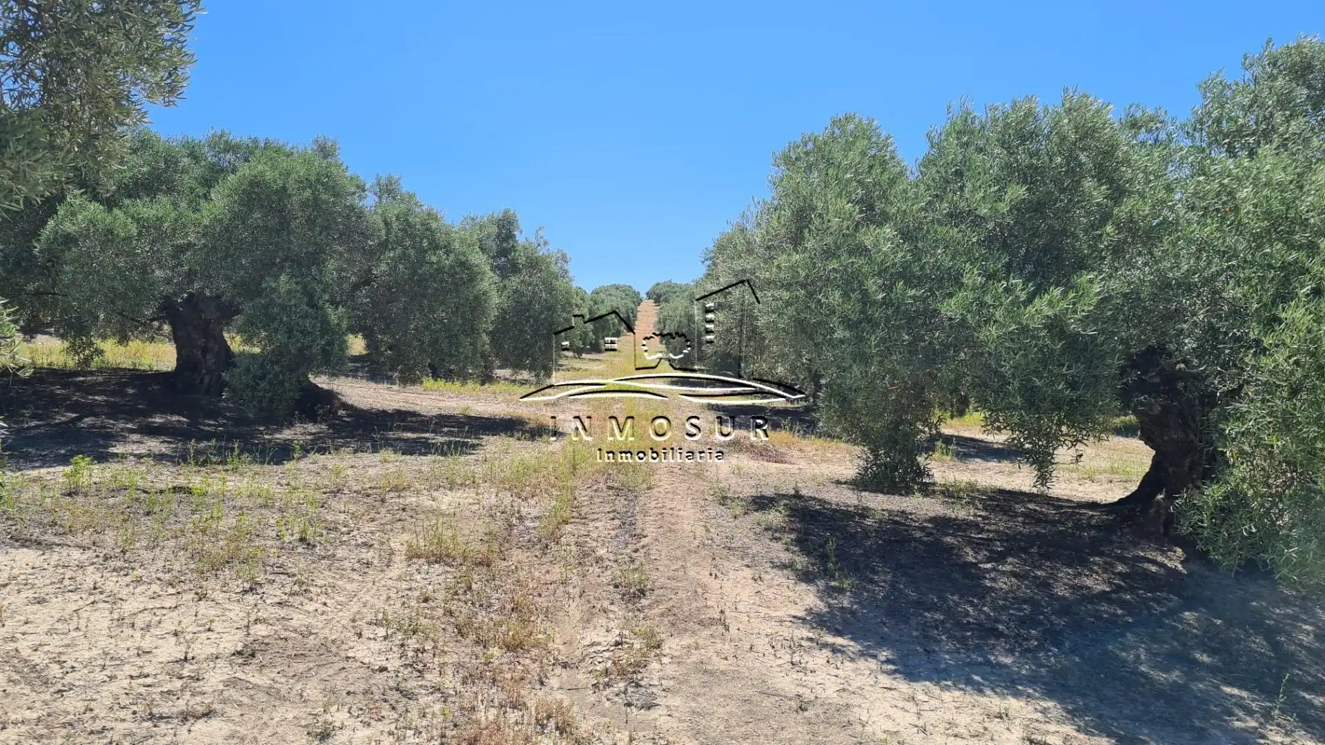 Terrain rustique à vendre à San Francisco, imagen 6