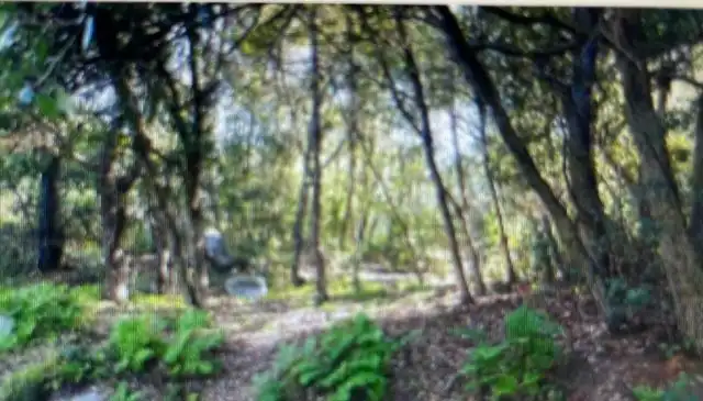 Rural land for sale in Arenys de Munt, imagen 2