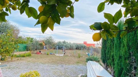 Foto 5 de Casa o chalet en venta en El Pilar, Vila-real