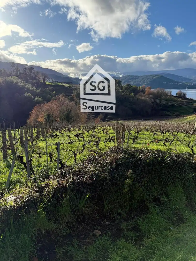 Terreno rustico in vendita a Castrelo de Miño