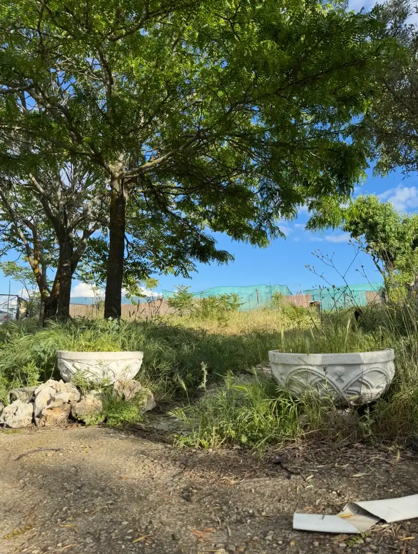 Finca rústica en venta en El Molar (Madrid) con Jardín privado, Terraza y Trastero