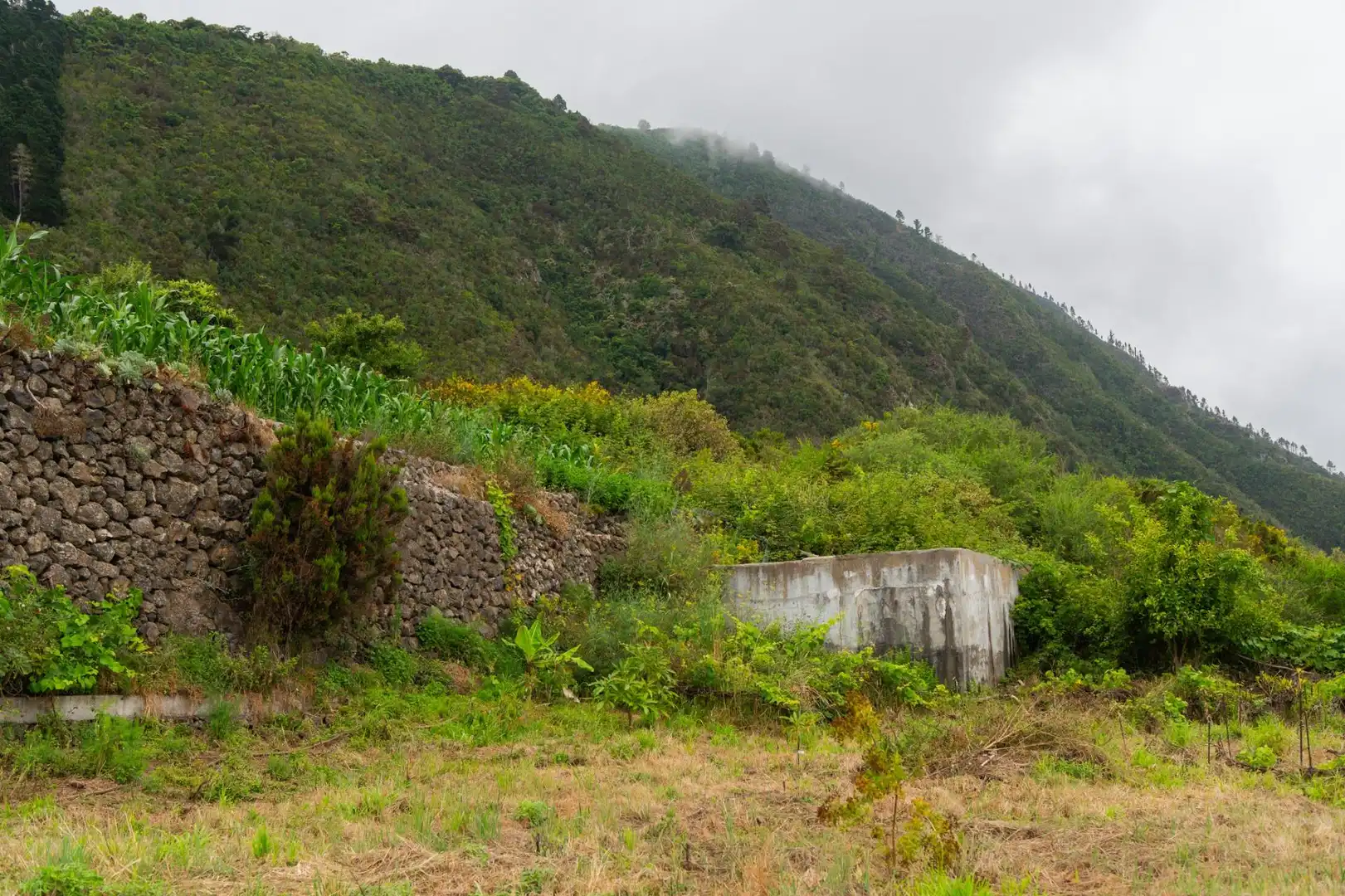 Terreno rustico in vendita a Las Cuevas - Los Gómez, imagen 10