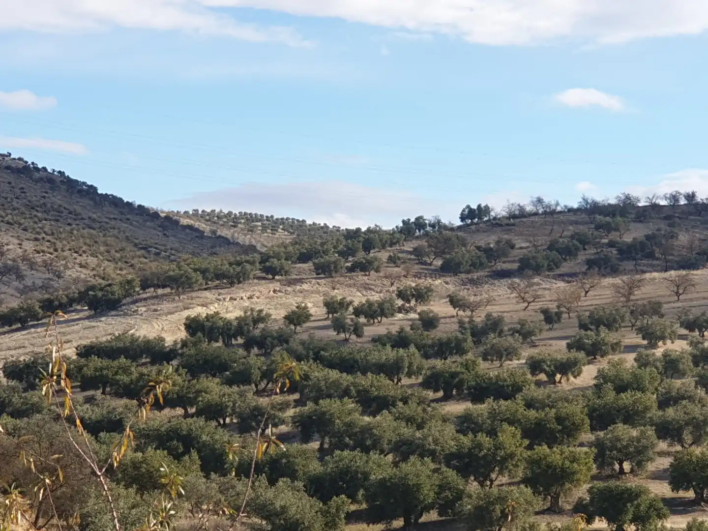 Terreni e lotti in vendita a Chimeneas