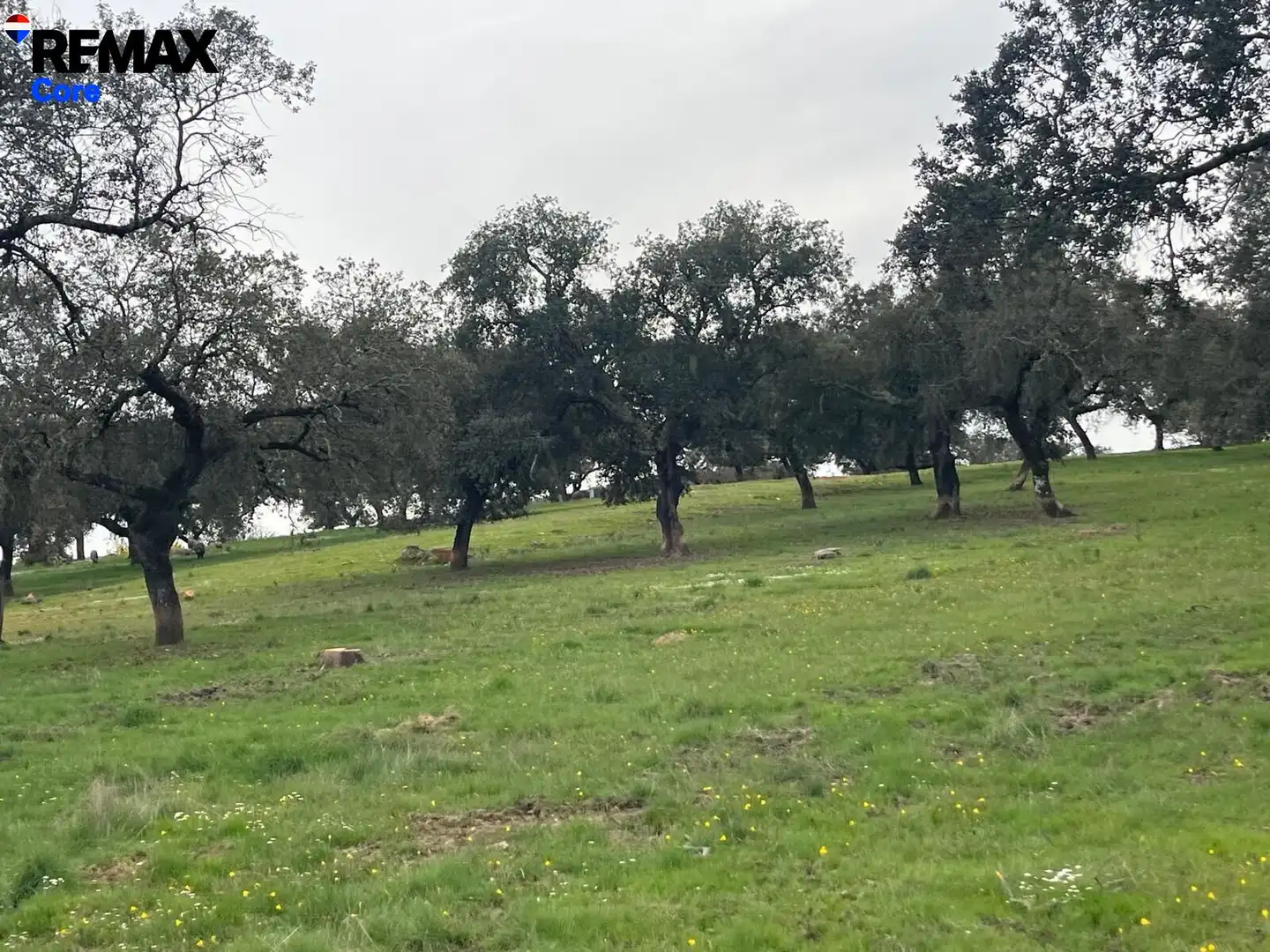 Terreni e lotti in vendita a Jerez de los Caballeros, imagen 10