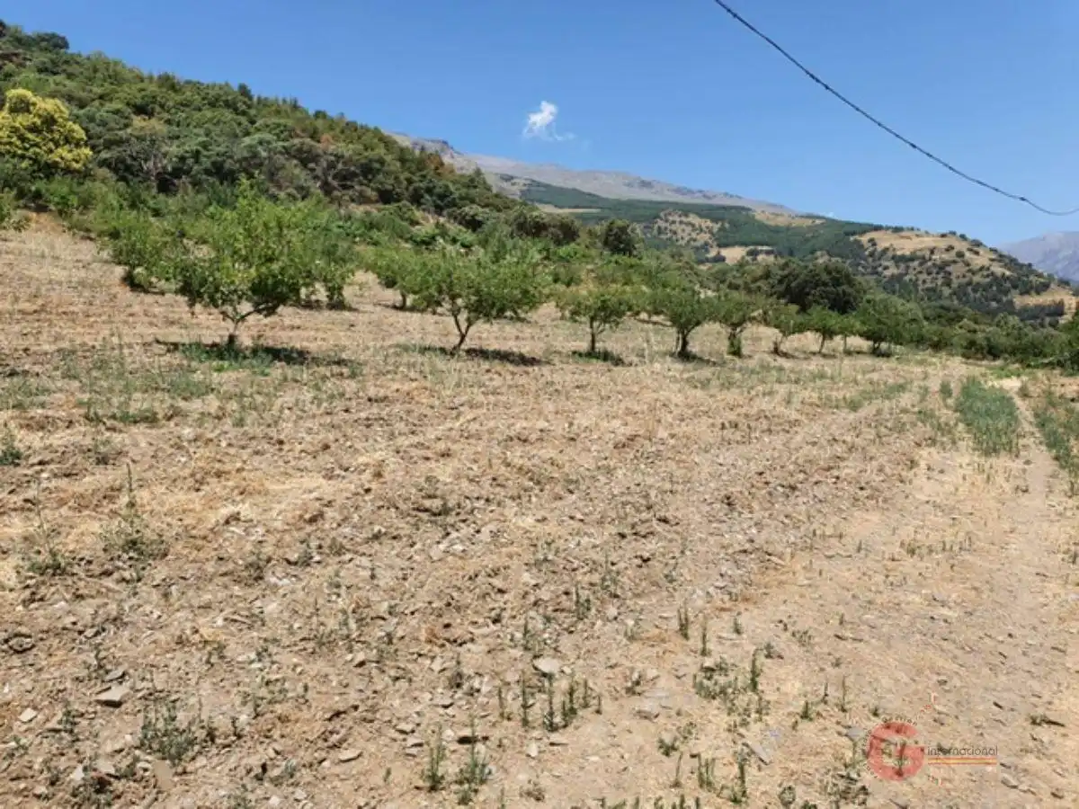 Country homes for sale in Busquístar