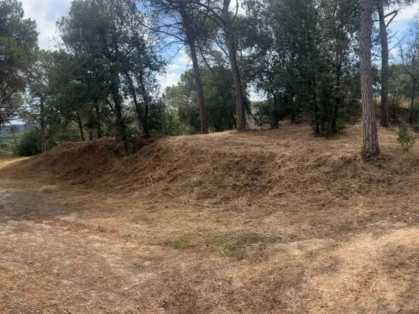 Terreno residencial en venta en Carrer del Solsones 19, imagen 5