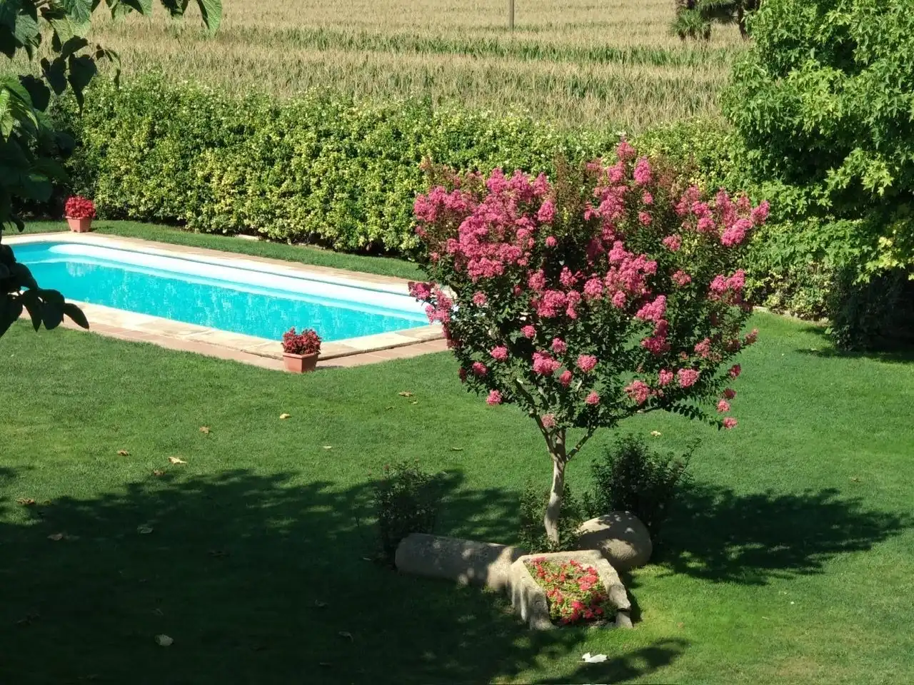 Piscina de Casa o xalet en venda en Vilanova de Bellpuig amb Calefacció, Jardí privat i Piscina