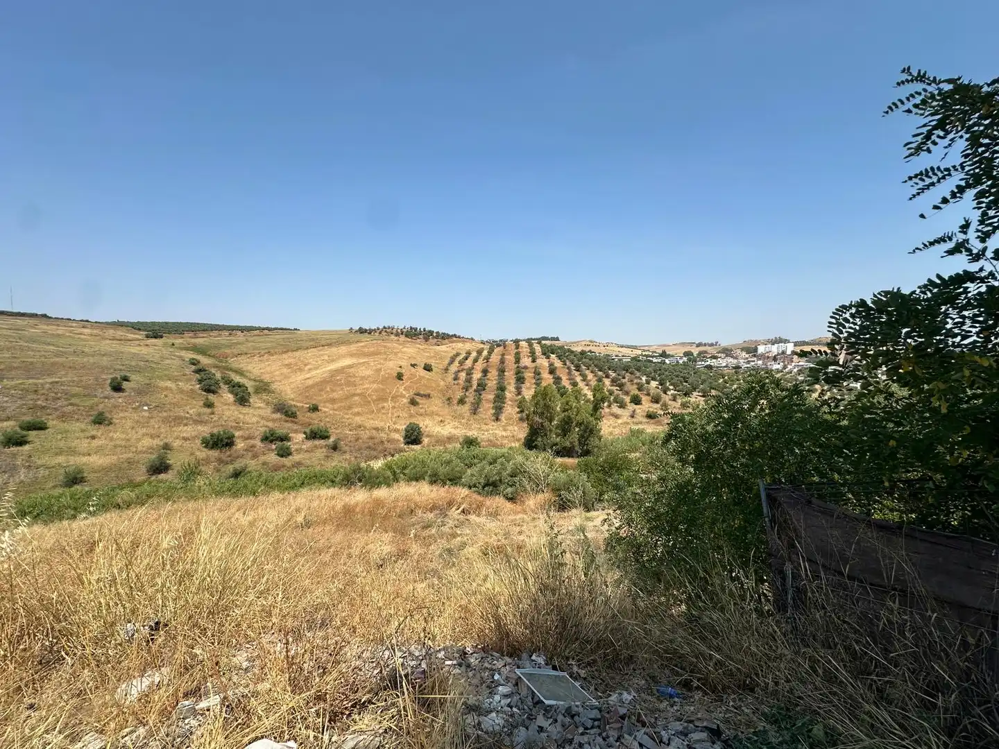 Terreny rústic en venda a Balcón de Sevilla - Atalaya - La Uva - La Extremeña, imagen 2
