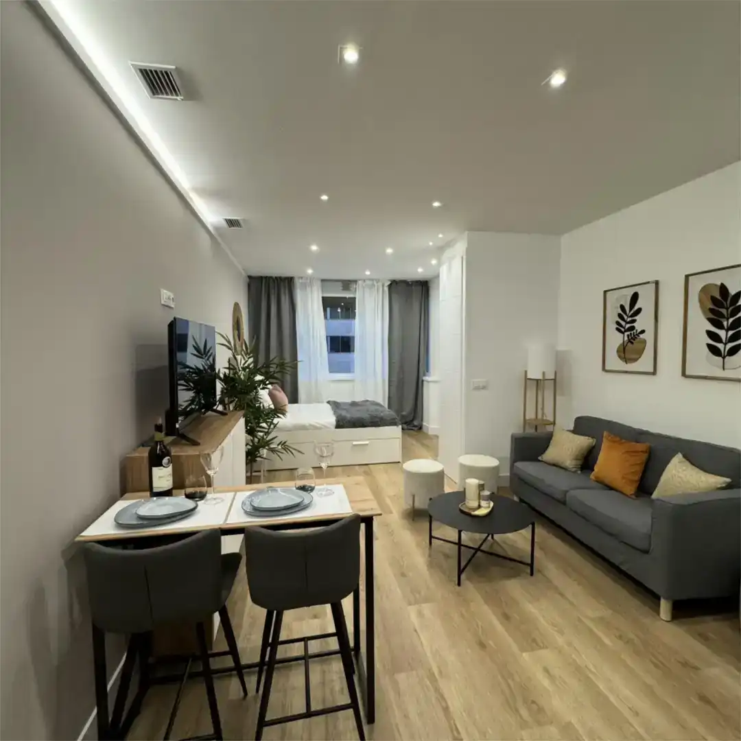 Sala d'estar de Estudi de lloguer en Madrid amb Aire condicionat, Moblat i Forn