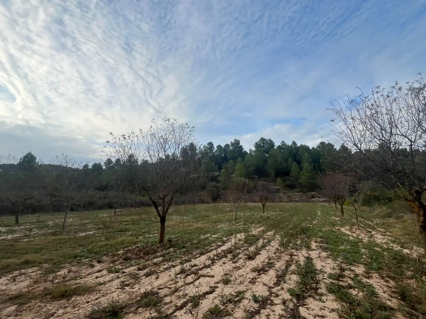 Terreni e lotti in vendita a Arens de Lledó