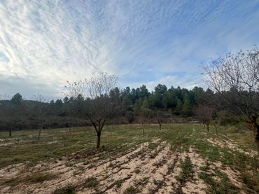 Terreno rústico en venta en Arens de Lledó