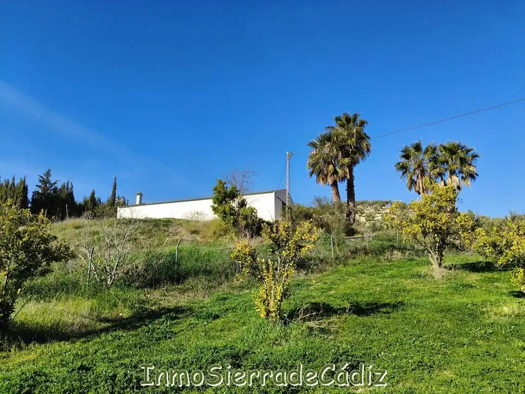 Casa rústica amb piscina en venda a N/A, imagen 33