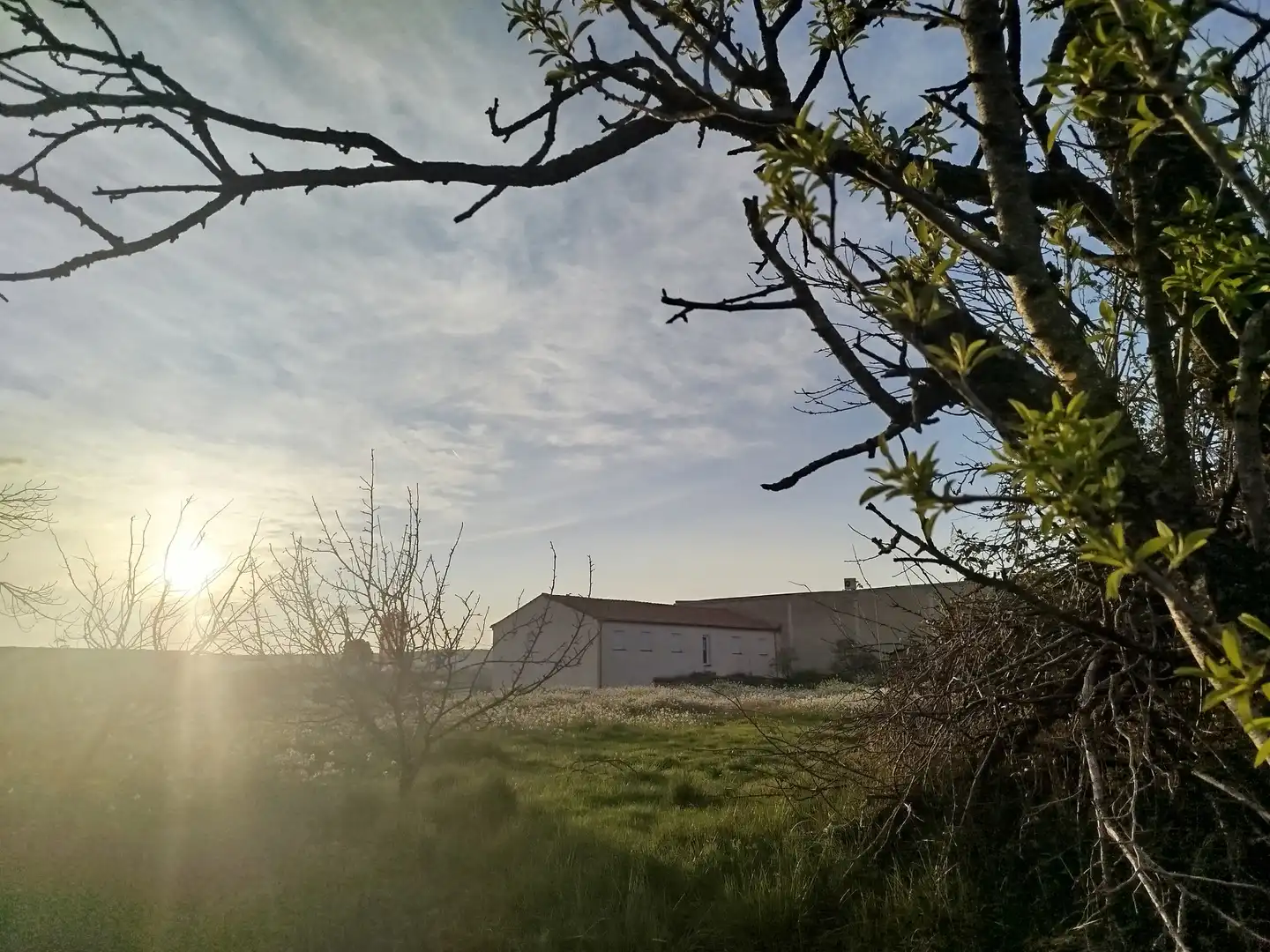 Terreni e lotti in vendita a Binéfar, imagen 10
