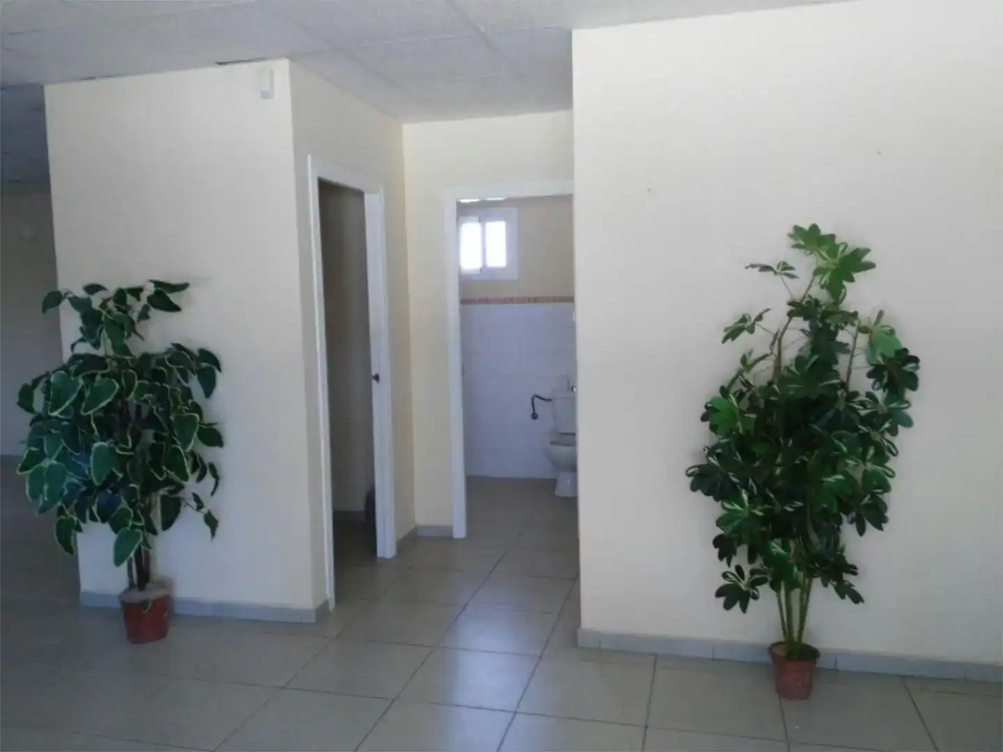 Fabrikhallen zur Miete in Puerto Real