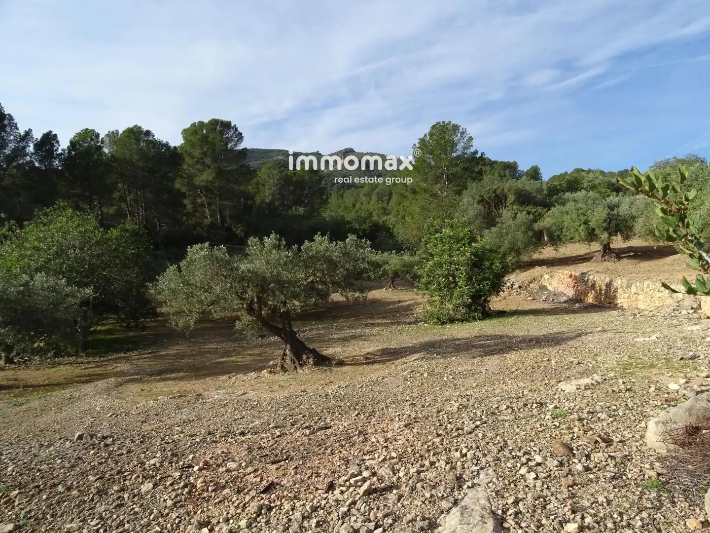 Terrain résidentiel à vendre à 16, imagen 6